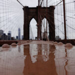 brooklyn-bridge-brooklyn-bridge-69