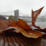 groundscapes-groundscapes-30