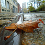 groundscapes-groundscapes-31