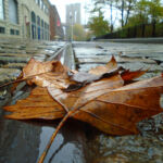 groundscapes-groundscapes-32