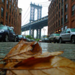 groundscapes-groundscapes-33