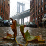 groundscapes-groundscapes-34