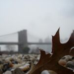 groundscapes-groundscapes-37