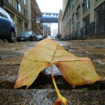 groundscapes-groundscapes-67